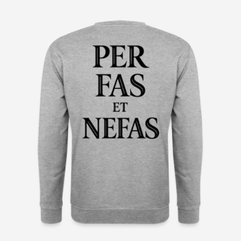 PER FAS ET NEFAS Pullover in grau mit Rückendruck